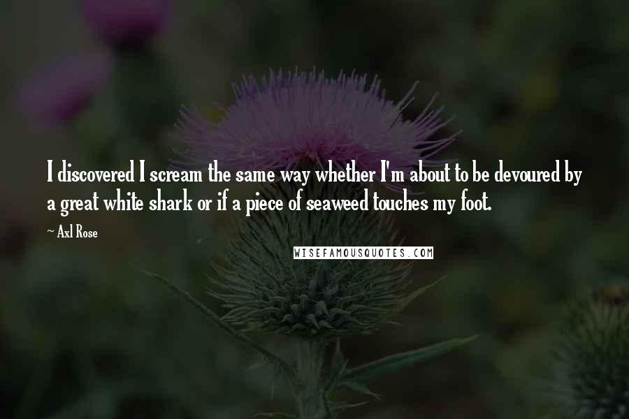 Axl Rose Quotes: I discovered I scream the same way whether I'm about to be devoured by a great white shark or if a piece of seaweed touches my foot.