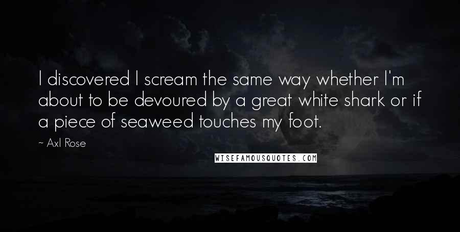 Axl Rose Quotes: I discovered I scream the same way whether I'm about to be devoured by a great white shark or if a piece of seaweed touches my foot.