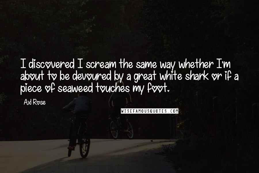 Axl Rose Quotes: I discovered I scream the same way whether I'm about to be devoured by a great white shark or if a piece of seaweed touches my foot.