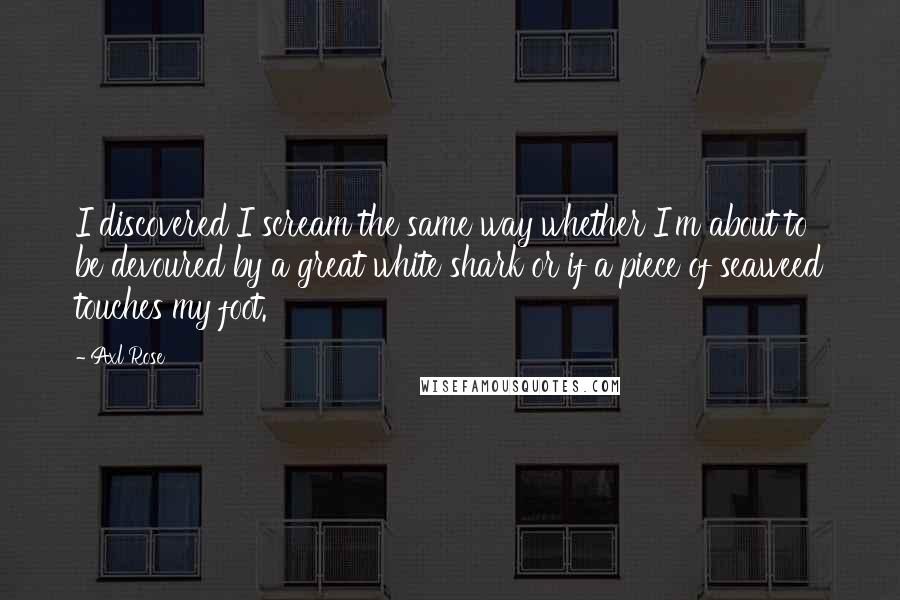 Axl Rose Quotes: I discovered I scream the same way whether I'm about to be devoured by a great white shark or if a piece of seaweed touches my foot.