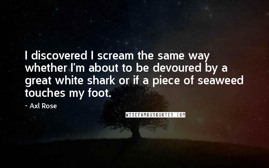 Axl Rose Quotes: I discovered I scream the same way whether I'm about to be devoured by a great white shark or if a piece of seaweed touches my foot.