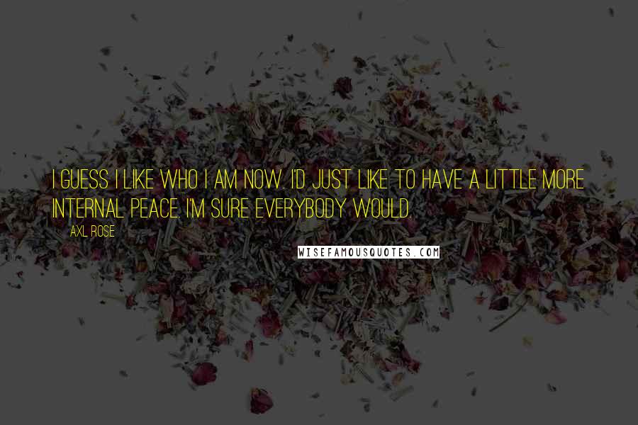 Axl Rose Quotes: I guess I like who I am now. I'd just like to have a little more internal peace. I'm sure everybody would.