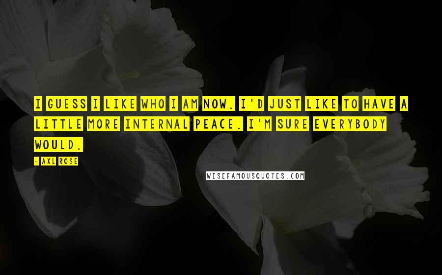 Axl Rose Quotes: I guess I like who I am now. I'd just like to have a little more internal peace. I'm sure everybody would.