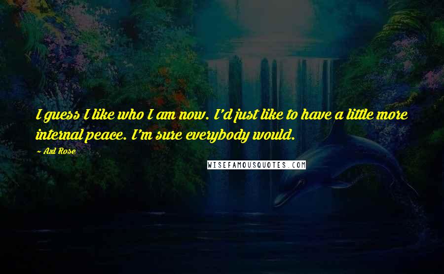 Axl Rose Quotes: I guess I like who I am now. I'd just like to have a little more internal peace. I'm sure everybody would.