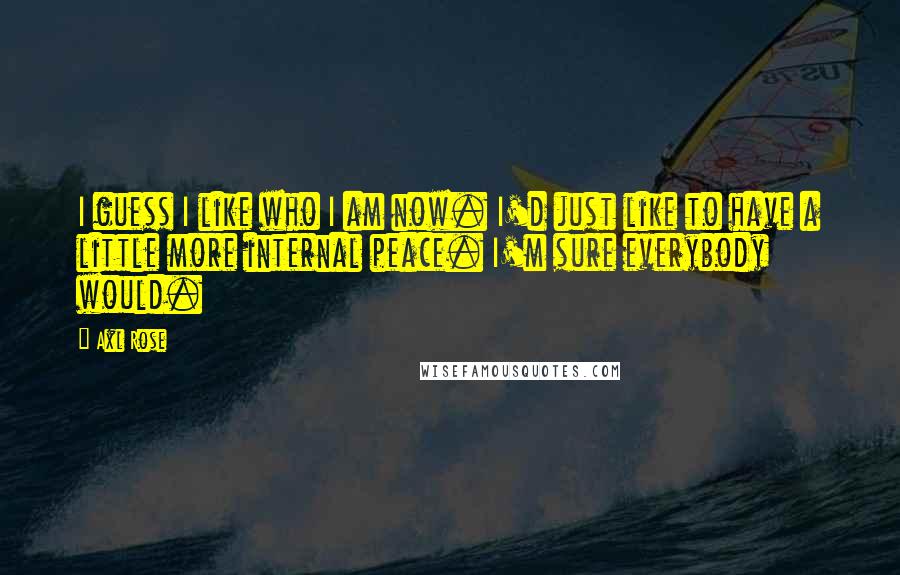 Axl Rose Quotes: I guess I like who I am now. I'd just like to have a little more internal peace. I'm sure everybody would.