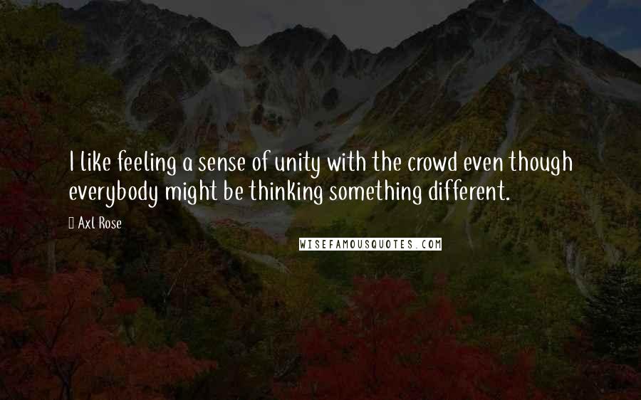 Axl Rose Quotes: I like feeling a sense of unity with the crowd even though everybody might be thinking something different.