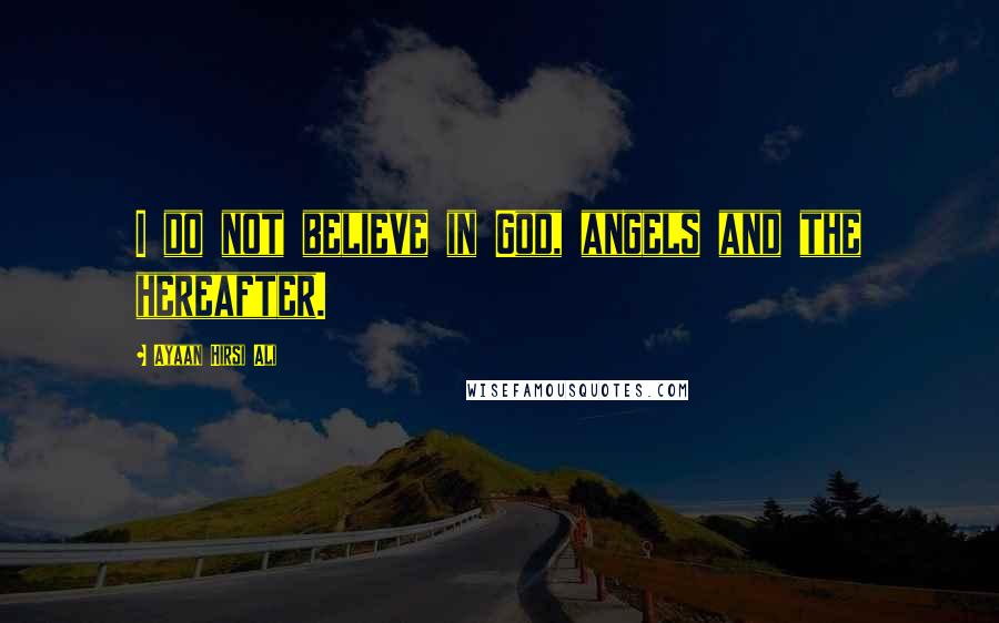 Ayaan Hirsi Ali Quotes: I do not believe in God, angels and the hereafter.