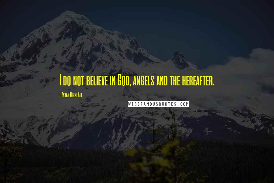 Ayaan Hirsi Ali Quotes: I do not believe in God, angels and the hereafter.