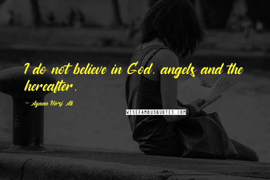 Ayaan Hirsi Ali Quotes: I do not believe in God, angels and the hereafter.