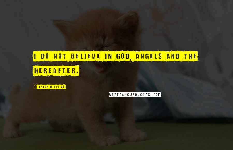 Ayaan Hirsi Ali Quotes: I do not believe in God, angels and the hereafter.