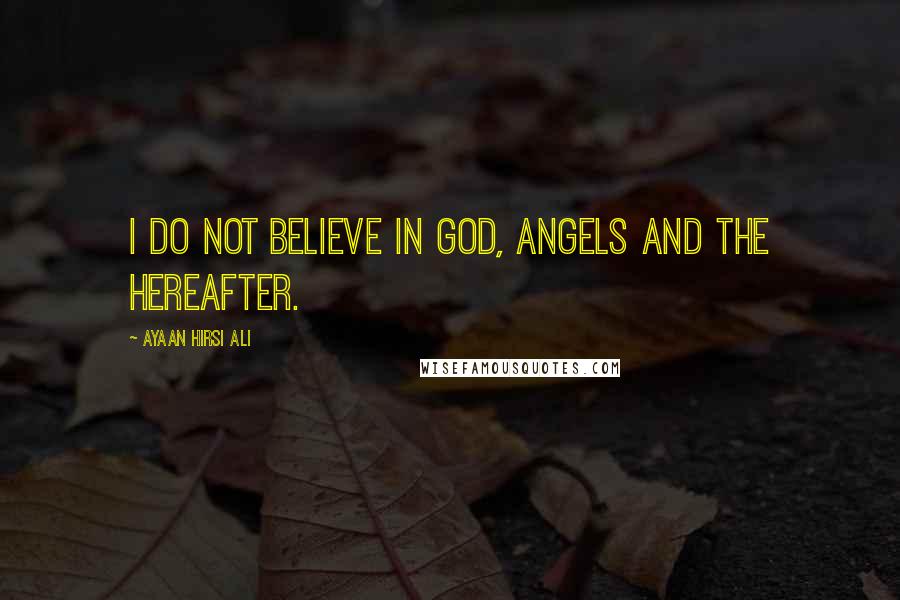 Ayaan Hirsi Ali Quotes: I do not believe in God, angels and the hereafter.