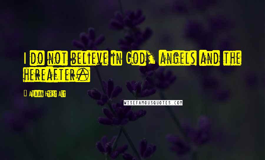 Ayaan Hirsi Ali Quotes: I do not believe in God, angels and the hereafter.
