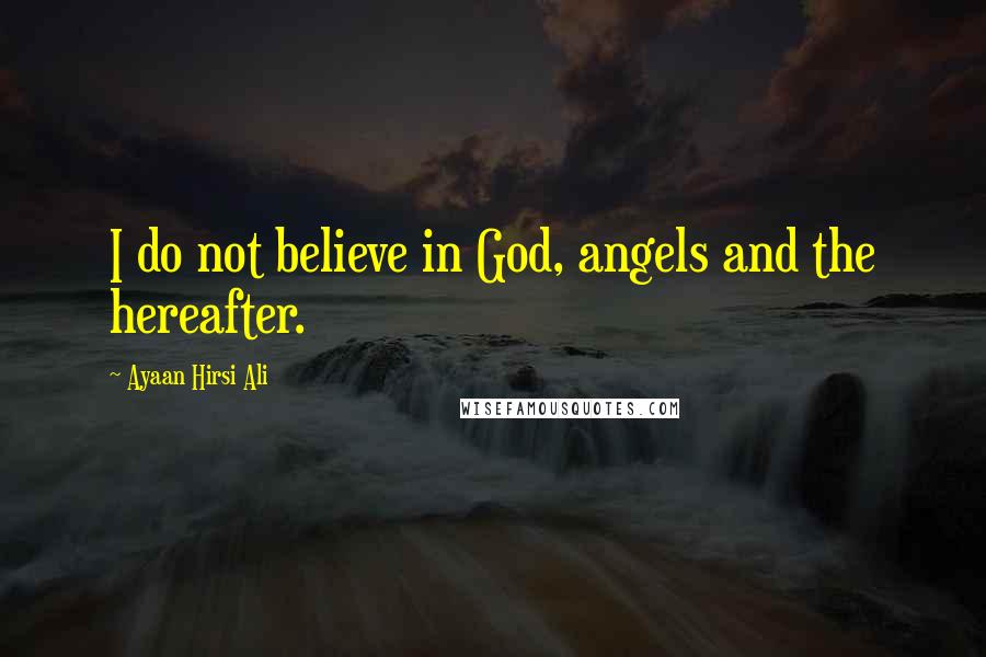 Ayaan Hirsi Ali Quotes: I do not believe in God, angels and the hereafter.
