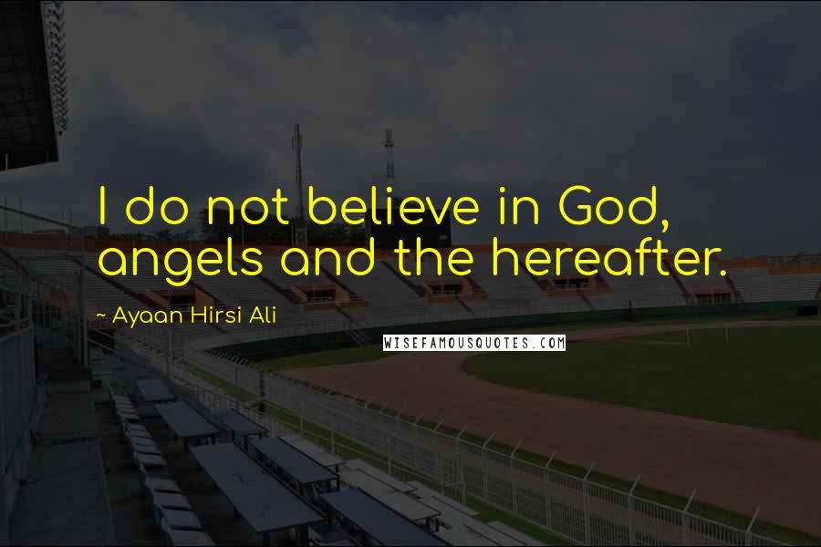 Ayaan Hirsi Ali Quotes: I do not believe in God, angels and the hereafter.
