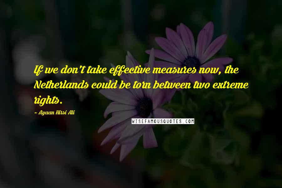 Ayaan Hirsi Ali Quotes: If we don't take effective measures now, the Netherlands could be torn between two extreme rights.