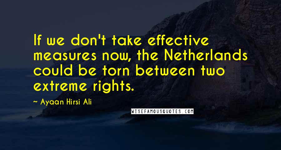 Ayaan Hirsi Ali Quotes: If we don't take effective measures now, the Netherlands could be torn between two extreme rights.