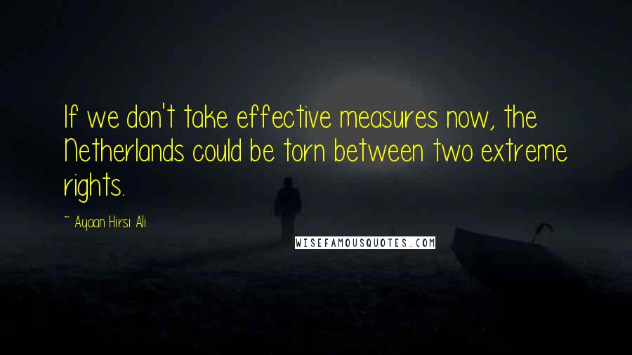 Ayaan Hirsi Ali Quotes: If we don't take effective measures now, the Netherlands could be torn between two extreme rights.