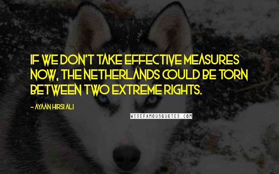 Ayaan Hirsi Ali Quotes: If we don't take effective measures now, the Netherlands could be torn between two extreme rights.