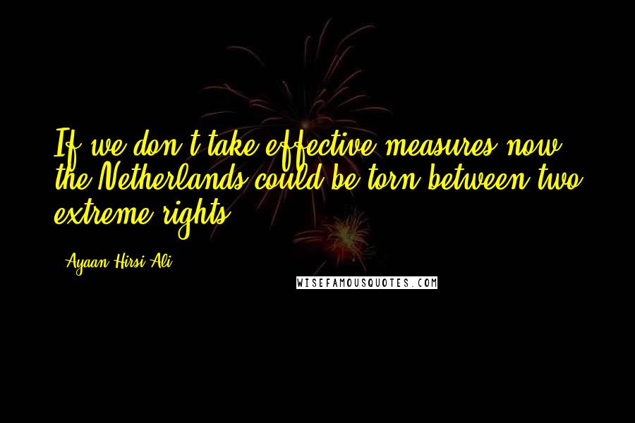 Ayaan Hirsi Ali Quotes: If we don't take effective measures now, the Netherlands could be torn between two extreme rights.