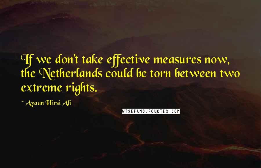 Ayaan Hirsi Ali Quotes: If we don't take effective measures now, the Netherlands could be torn between two extreme rights.