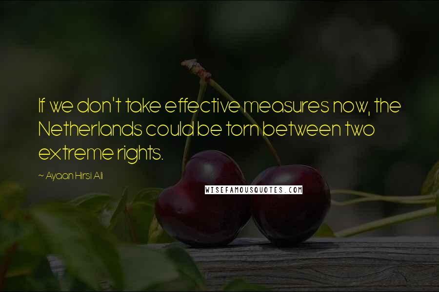 Ayaan Hirsi Ali Quotes: If we don't take effective measures now, the Netherlands could be torn between two extreme rights.