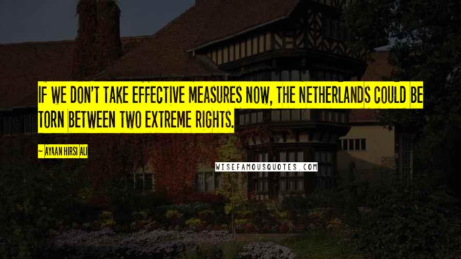 Ayaan Hirsi Ali Quotes: If we don't take effective measures now, the Netherlands could be torn between two extreme rights.