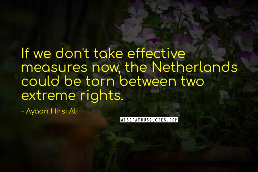 Ayaan Hirsi Ali Quotes: If we don't take effective measures now, the Netherlands could be torn between two extreme rights.