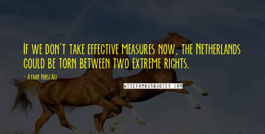 Ayaan Hirsi Ali Quotes: If we don't take effective measures now, the Netherlands could be torn between two extreme rights.