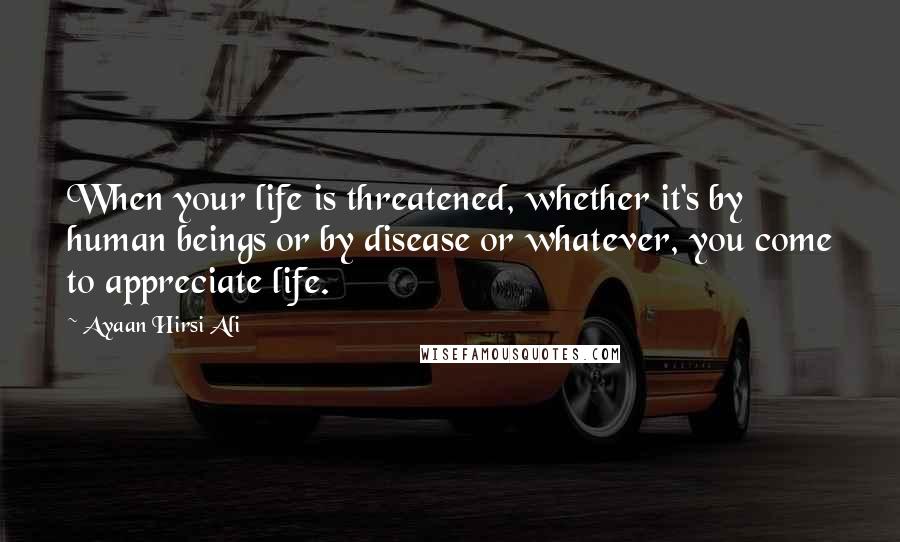 Ayaan Hirsi Ali Quotes: When your life is threatened, whether it's by human beings or by disease or whatever, you come to appreciate life.