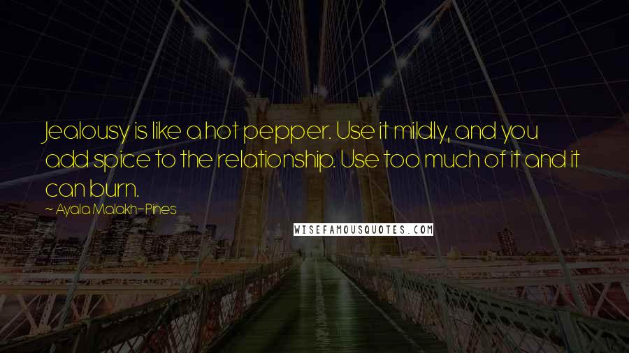 Ayala Malakh-Pines Quotes: Jealousy is like a hot pepper. Use it mildly, and you add spice to the relationship. Use too much of it and it can burn.