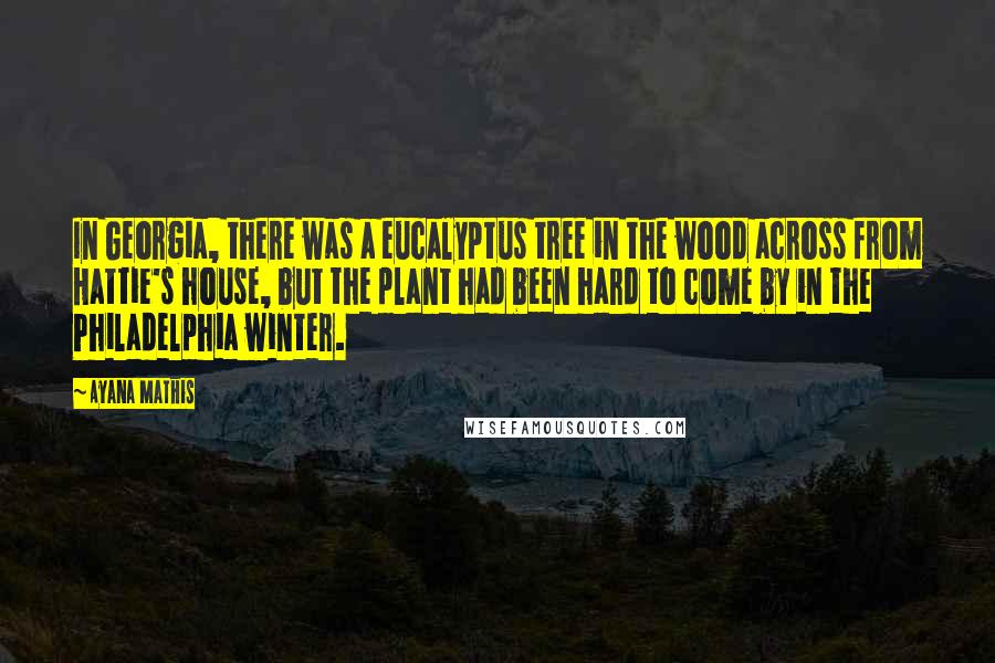 Ayana Mathis Quotes: In Georgia, there was a eucalyptus tree in the wood across from Hattie's house, but the plant had been hard to come by in the Philadelphia winter.