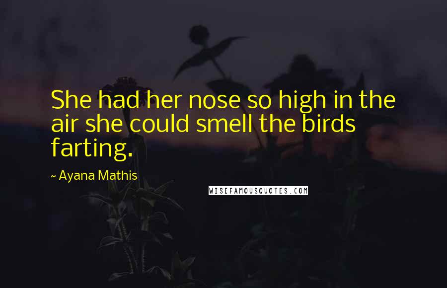 Ayana Mathis Quotes: She had her nose so high in the air she could smell the birds farting.