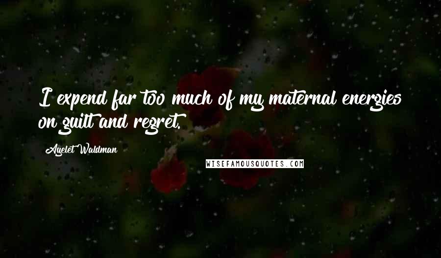 Ayelet Waldman Quotes: I expend far too much of my maternal energies on guilt and regret.