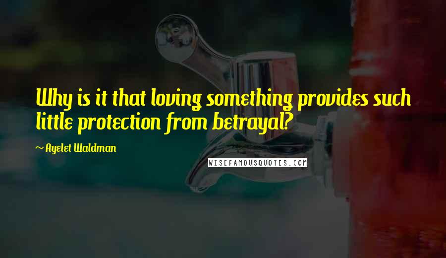 Ayelet Waldman Quotes: Why is it that loving something provides such little protection from betrayal?