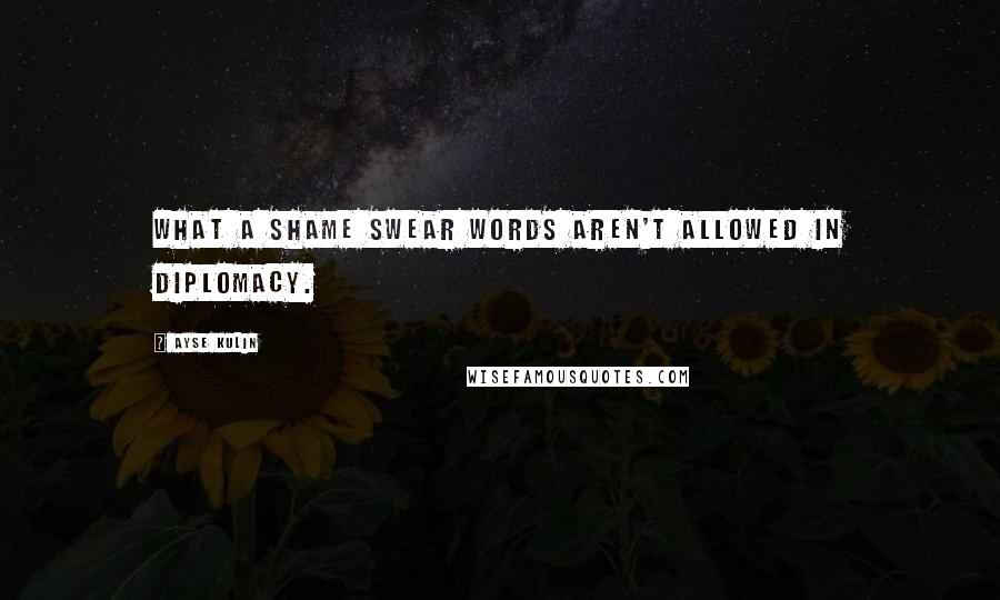 Ayse Kulin Quotes: What a shame swear words aren't allowed in diplomacy.