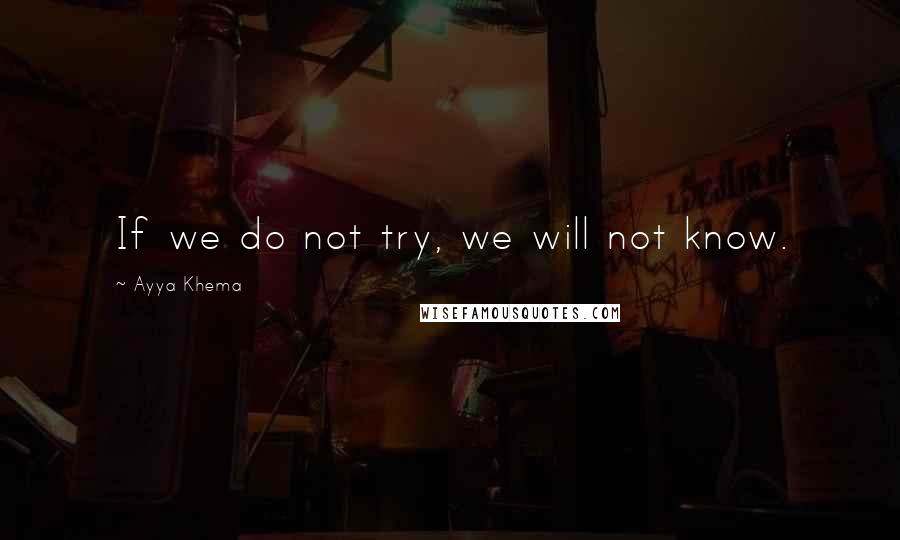 Ayya Khema Quotes: If we do not try, we will not know.