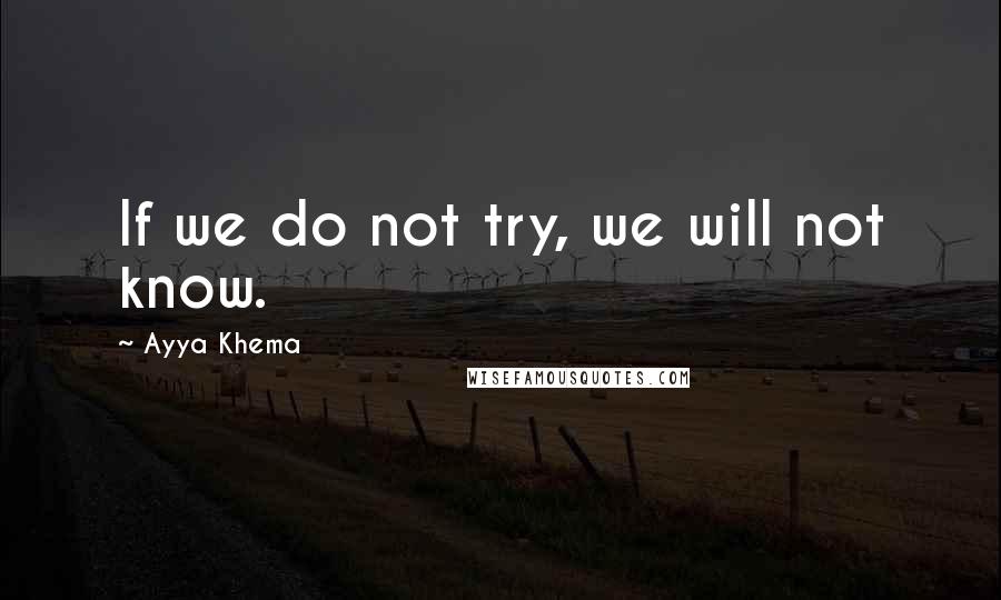 Ayya Khema Quotes: If we do not try, we will not know.