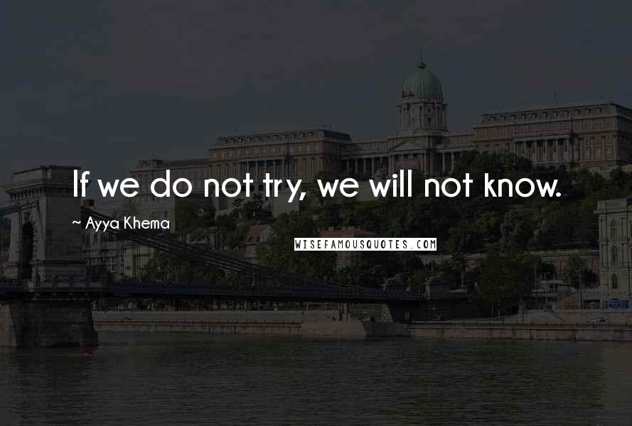 Ayya Khema Quotes: If we do not try, we will not know.