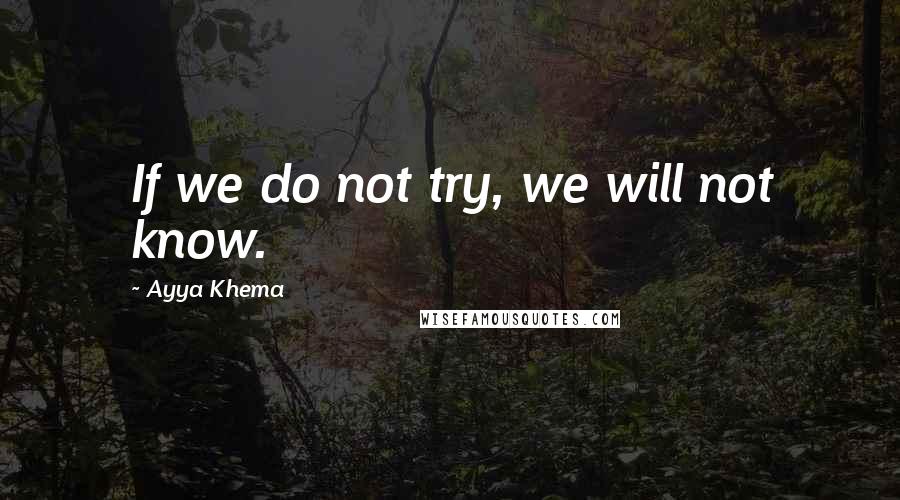 Ayya Khema Quotes: If we do not try, we will not know.