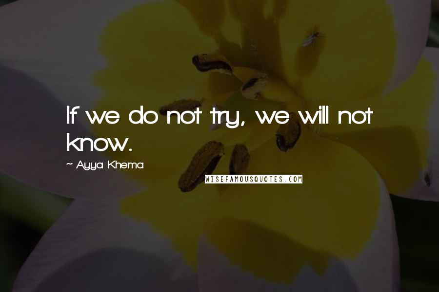 Ayya Khema Quotes: If we do not try, we will not know.