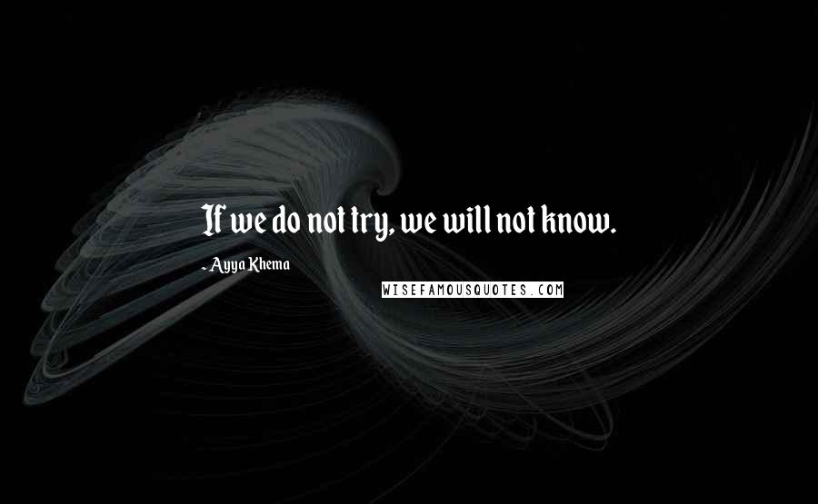 Ayya Khema Quotes: If we do not try, we will not know.