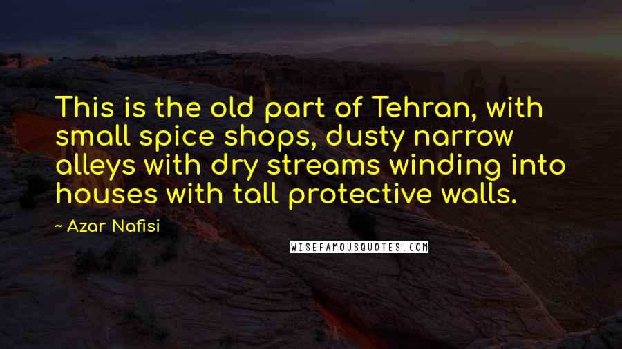 Azar Nafisi Quotes: This is the old part of Tehran, with small spice shops, dusty narrow alleys with dry streams winding into houses with tall protective walls.