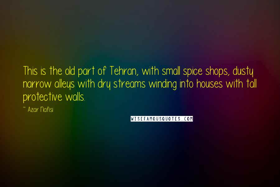 Azar Nafisi Quotes: This is the old part of Tehran, with small spice shops, dusty narrow alleys with dry streams winding into houses with tall protective walls.