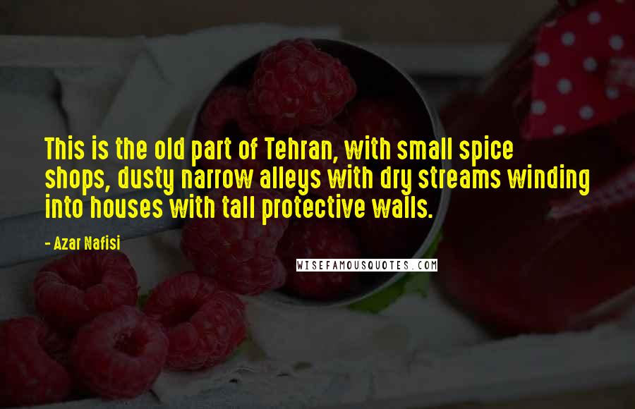 Azar Nafisi Quotes: This is the old part of Tehran, with small spice shops, dusty narrow alleys with dry streams winding into houses with tall protective walls.