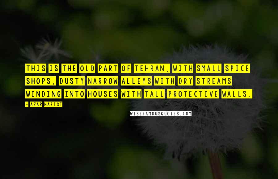 Azar Nafisi Quotes: This is the old part of Tehran, with small spice shops, dusty narrow alleys with dry streams winding into houses with tall protective walls.