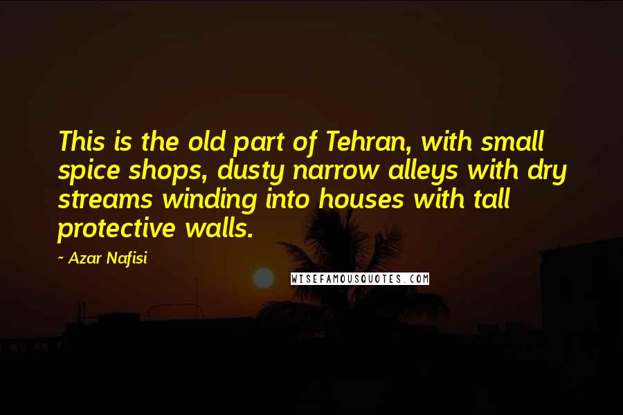 Azar Nafisi Quotes: This is the old part of Tehran, with small spice shops, dusty narrow alleys with dry streams winding into houses with tall protective walls.