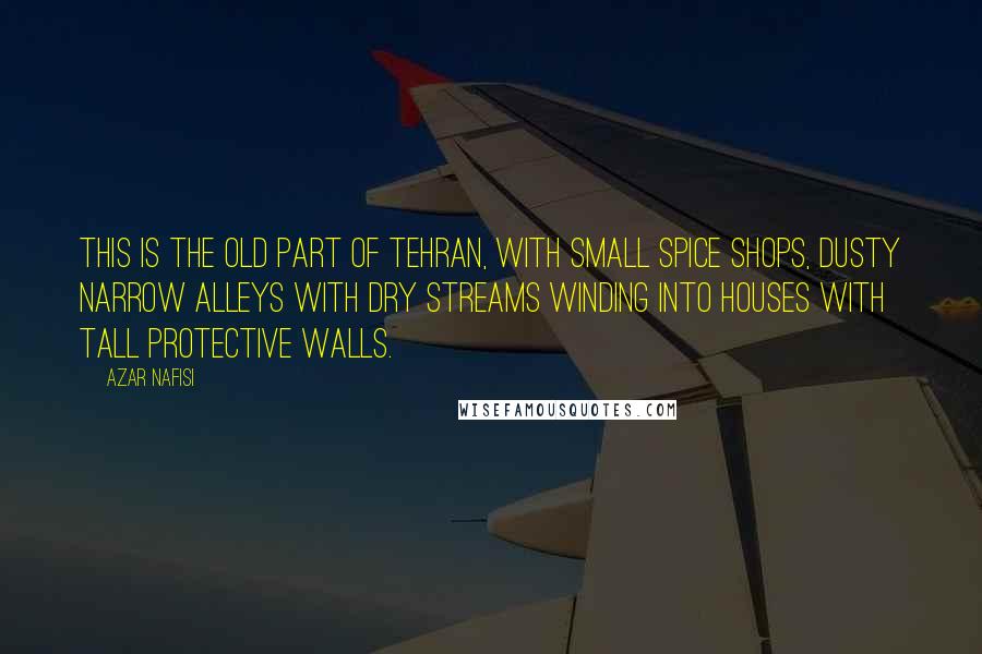 Azar Nafisi Quotes: This is the old part of Tehran, with small spice shops, dusty narrow alleys with dry streams winding into houses with tall protective walls.
