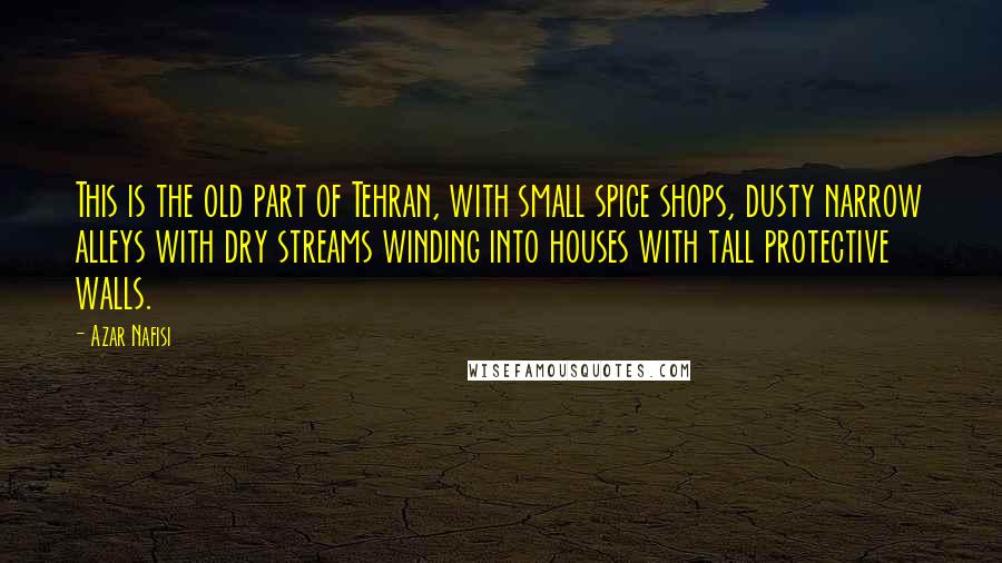 Azar Nafisi Quotes: This is the old part of Tehran, with small spice shops, dusty narrow alleys with dry streams winding into houses with tall protective walls.