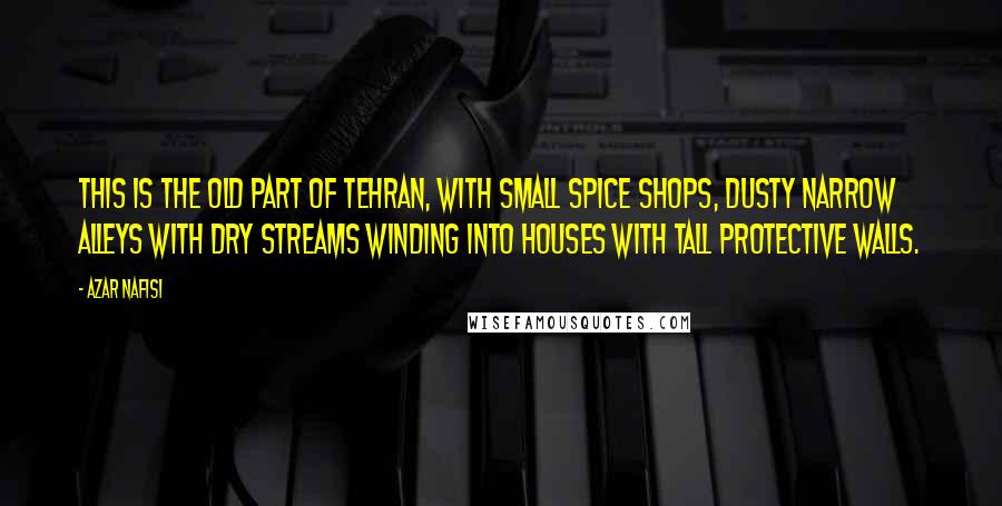 Azar Nafisi Quotes: This is the old part of Tehran, with small spice shops, dusty narrow alleys with dry streams winding into houses with tall protective walls.