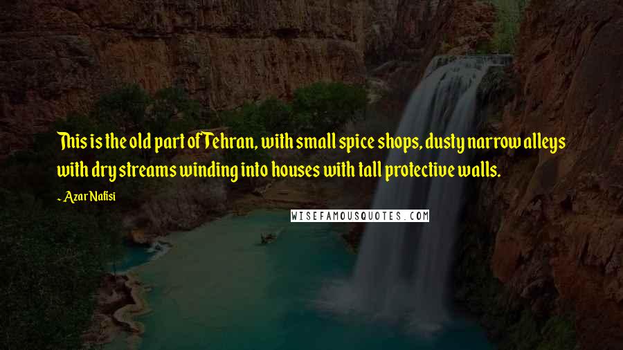 Azar Nafisi Quotes: This is the old part of Tehran, with small spice shops, dusty narrow alleys with dry streams winding into houses with tall protective walls.